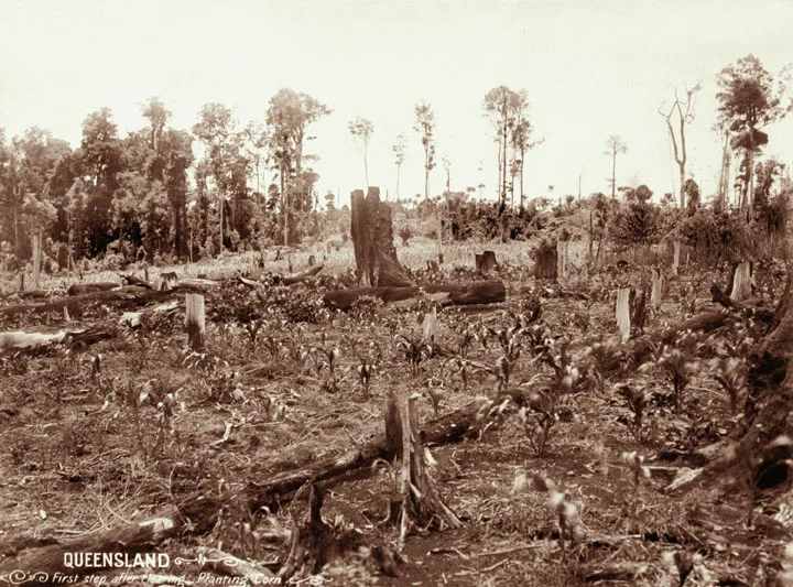 Aerial view of a Southeast Oklahoma worksite with land-clearing equipment